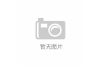 企业出海，名企共聚深物联对接中亚市场渠道