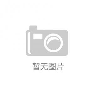 企业出海，名企共聚深物联对接中亚市场渠道与订单